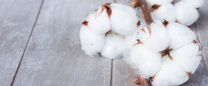 cotton